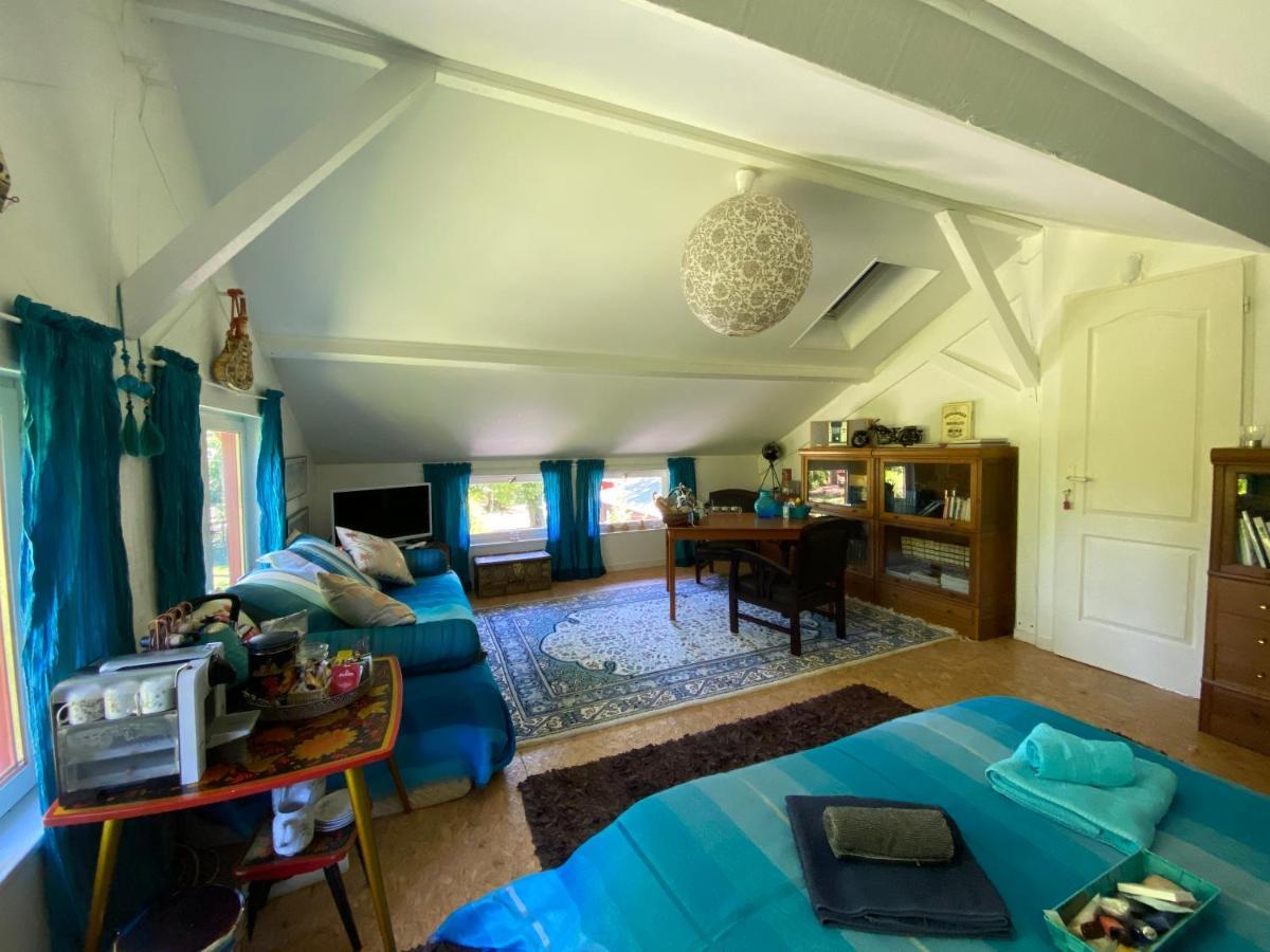 Le Loft Au-Dessus Des Pins Apartamento Lacanau Exterior foto