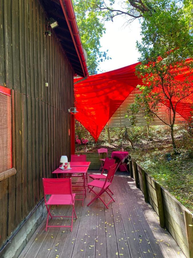 Le Loft Au-Dessus Des Pins Apartamento Lacanau Exterior foto