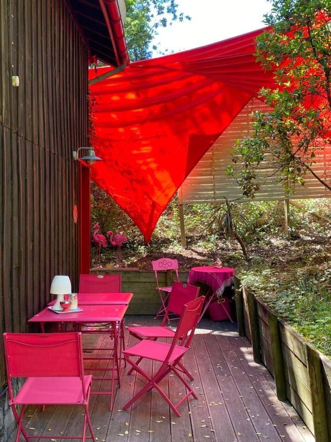 Le Loft Au-Dessus Des Pins Apartamento Lacanau Exterior foto
