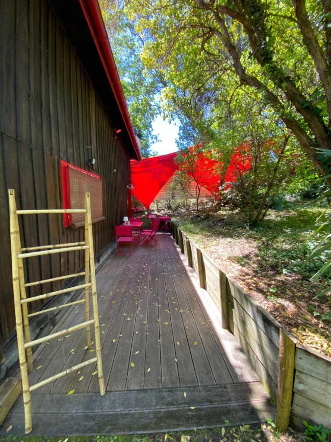 Le Loft Au-Dessus Des Pins Apartamento Lacanau Exterior foto